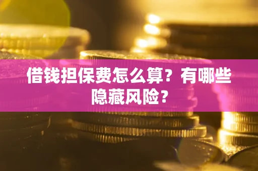 武汉借钱担保费怎么算？有哪些隐藏风险？