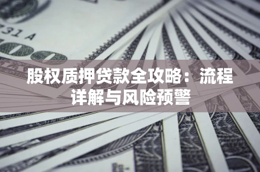 武汉股权质押贷款全攻略：流程详解与风险预警
