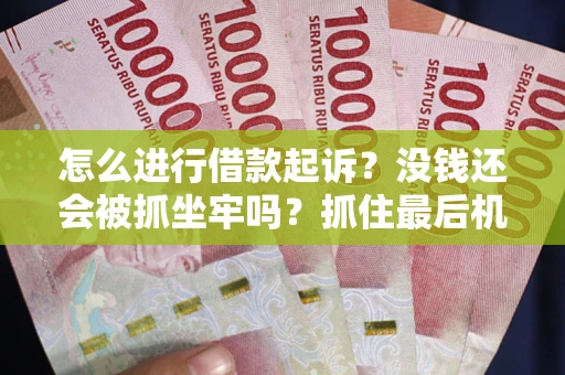 武汉怎么进行借款起诉？没钱还会被抓坐牢吗？抓住最后机会！