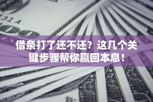 武汉借条打了还不还？这几个关键步骤帮你赢回本息！