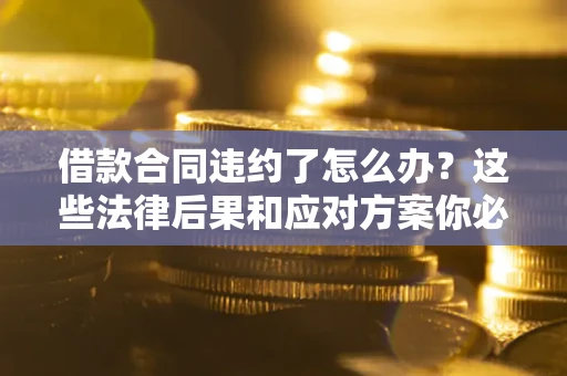 武汉借款合同违约了怎么办？这些法律后果和应对方案你必须知道