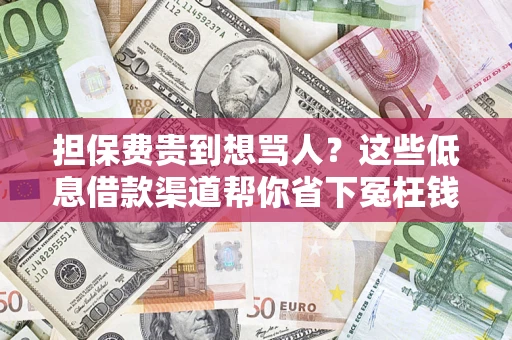 武汉担保费贵到想骂人？这些低息借款渠道帮你省下冤枉钱