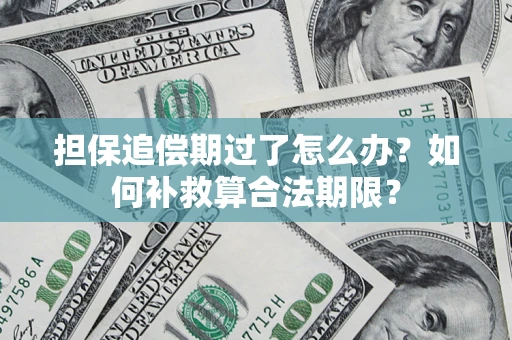 武汉担保追偿期过了怎么办？如何补救算合法期限？