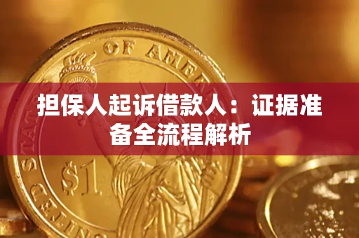 武汉担保人起诉借款人：证据准备全流程解析