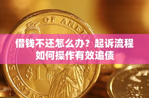 武汉借钱不还怎么办？起诉流程如何操作有效追债