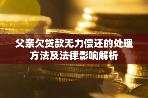 武汉父亲欠贷款无力偿还的处理方法及法律影响解析