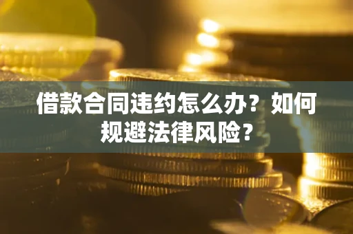 武汉借款合同违约怎么办？如何规避法律风险？