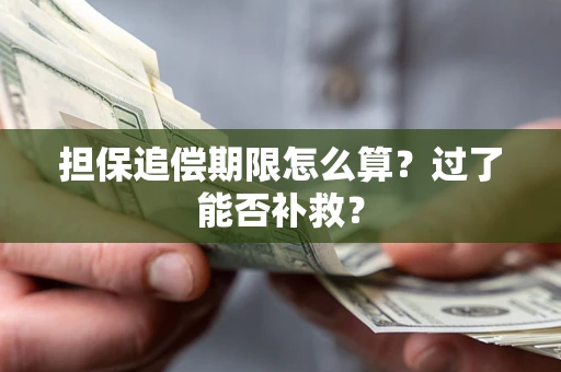武汉担保追偿期限怎么算？过了能否补救？